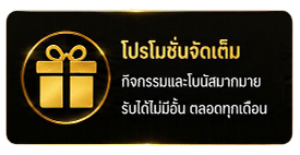 โปรโมชั่นจัดเต็ม
